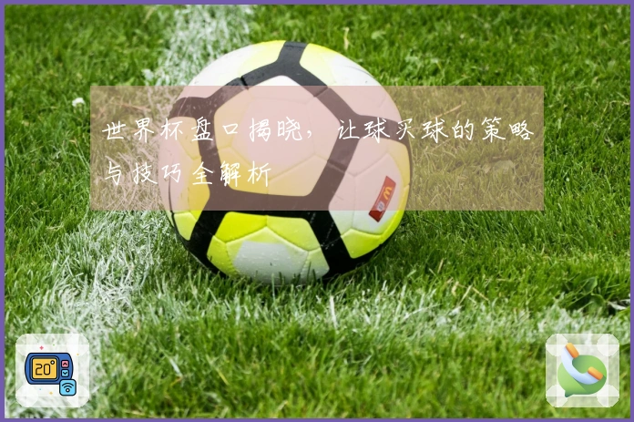 世界杯盘口揭晓，让球买球的策略与技巧全解析