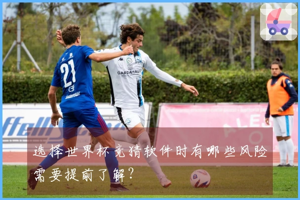 选择世界杯竞猜软件时有哪些风险需要提前了解？