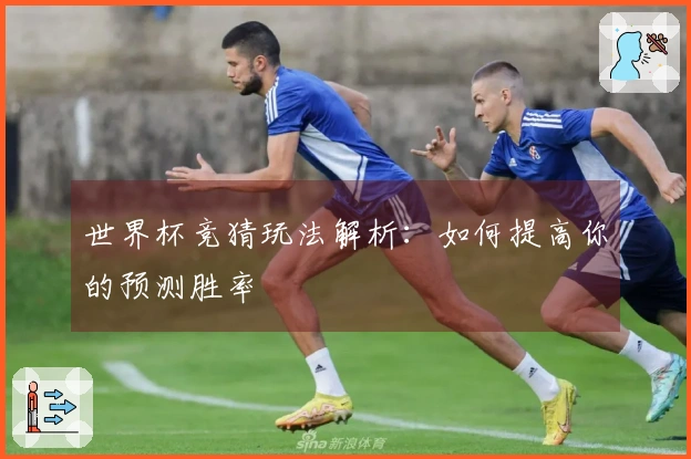 世界杯竞猜玩法解析：如何提高你的预测胜率