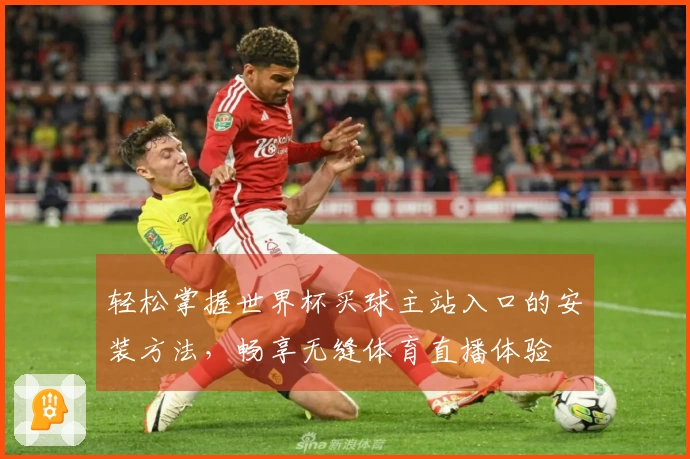 轻松掌握世界杯买球主站入口的安装方法，畅享无缝体育直播体验