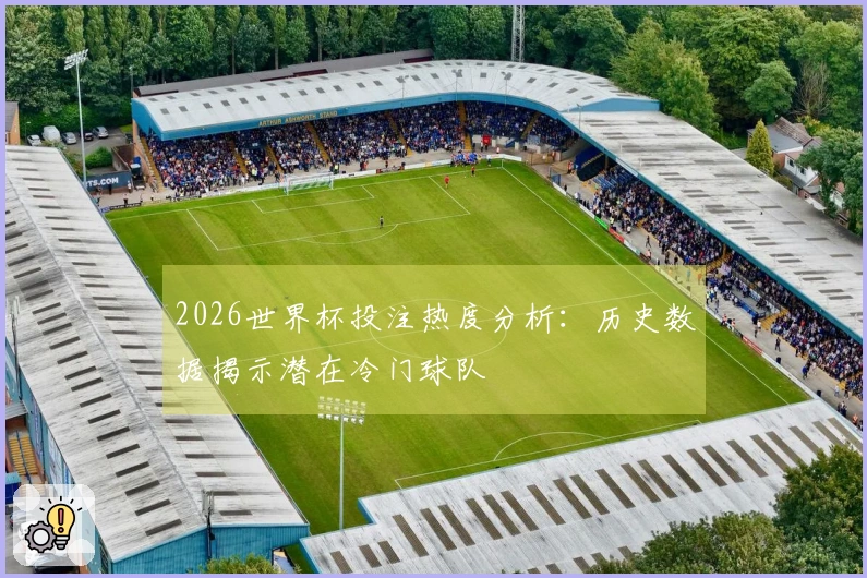 2026世界杯投注热度分析：历史数据揭示潜在冷门球队