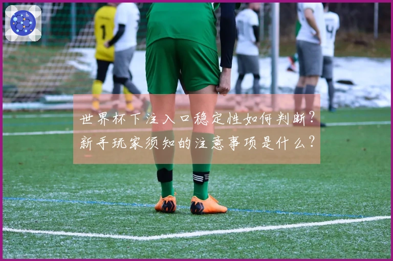 世界杯下注入口稳定性如何判断?新手玩家须知的注意事项是什么?