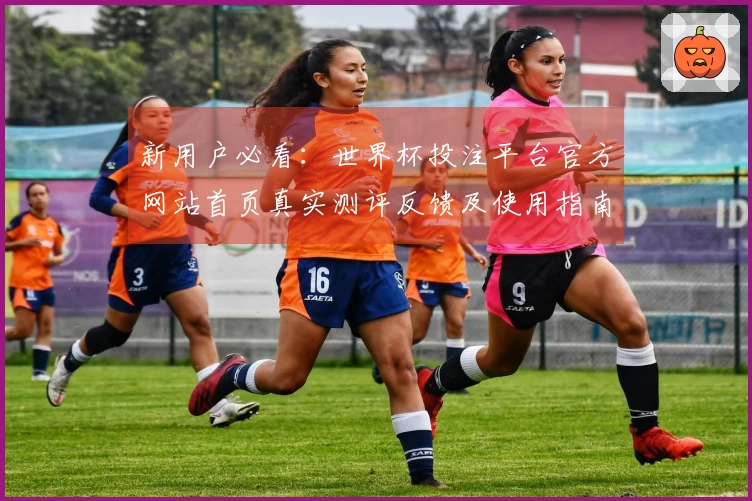 新用户必看：世界杯投注平台官方网站首页真实测评反馈及使用指南