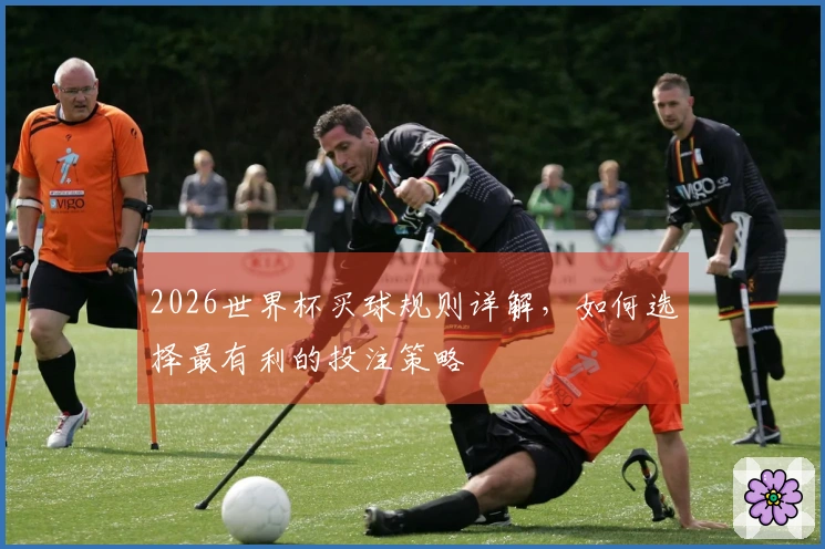 2026世界杯买球规则详解，如何选择最有利的投注策略