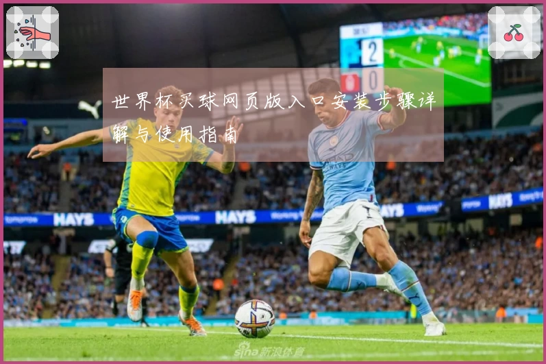 世界杯买球网页版入口安装步骤详解与使用指南