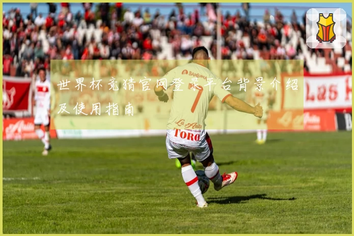 世界杯竞猜官网登录平台背景介绍及使用指南