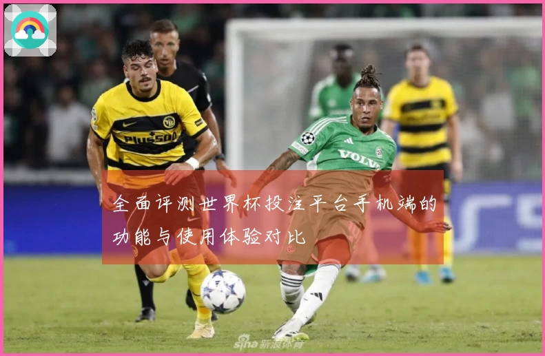 全面评测世界杯投注平台手机端的功能与使用体验对比
