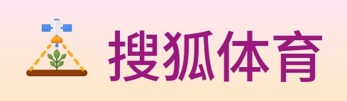 搜狐体育 Logo